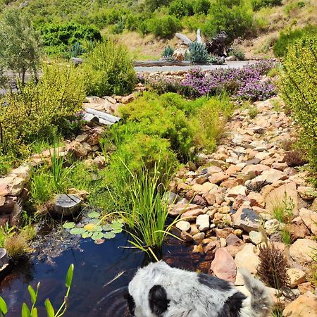 Roodekloof Daire Montagu Dış mekan fotoğraf