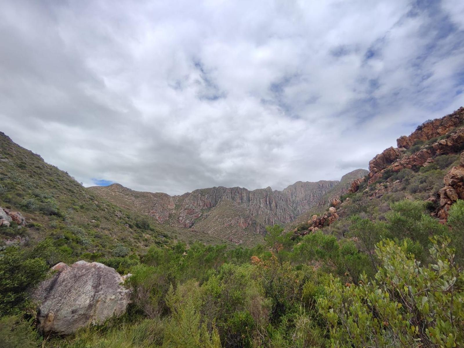 Roodekloof Daire Montagu Dış mekan fotoğraf