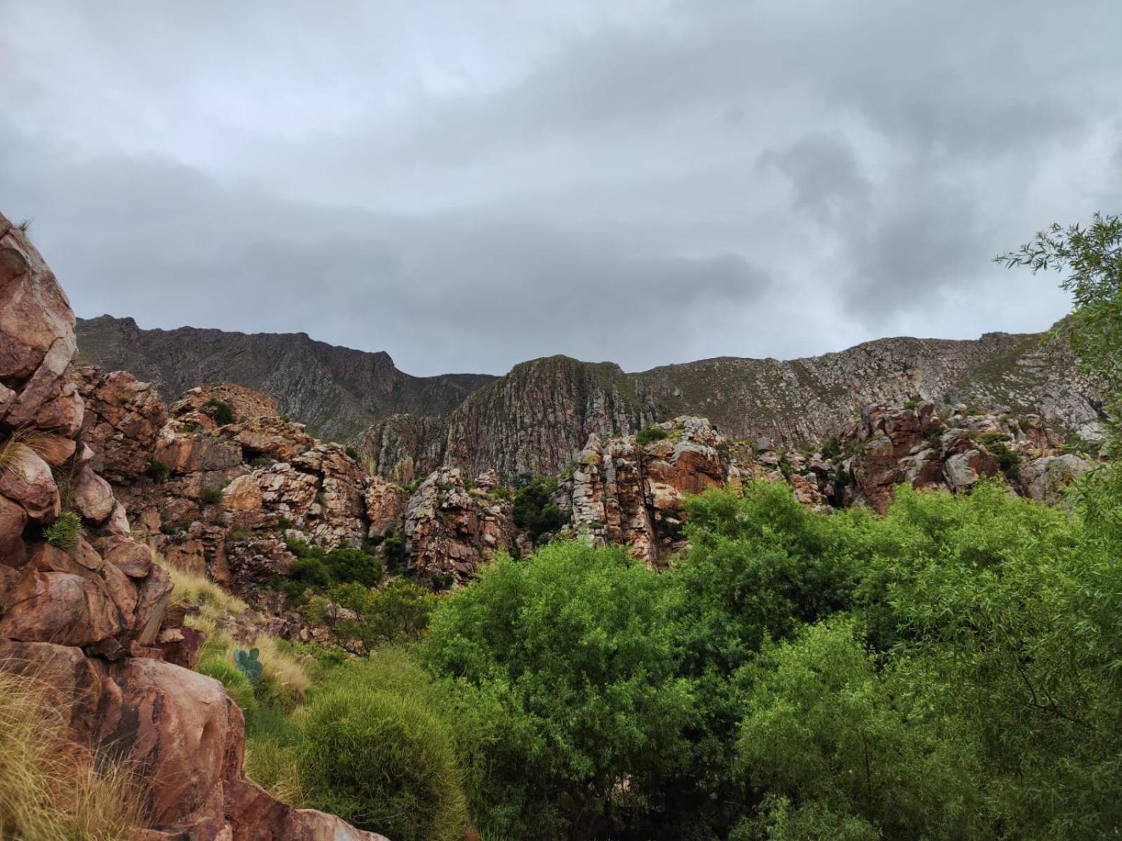 Roodekloof Daire Montagu Dış mekan fotoğraf