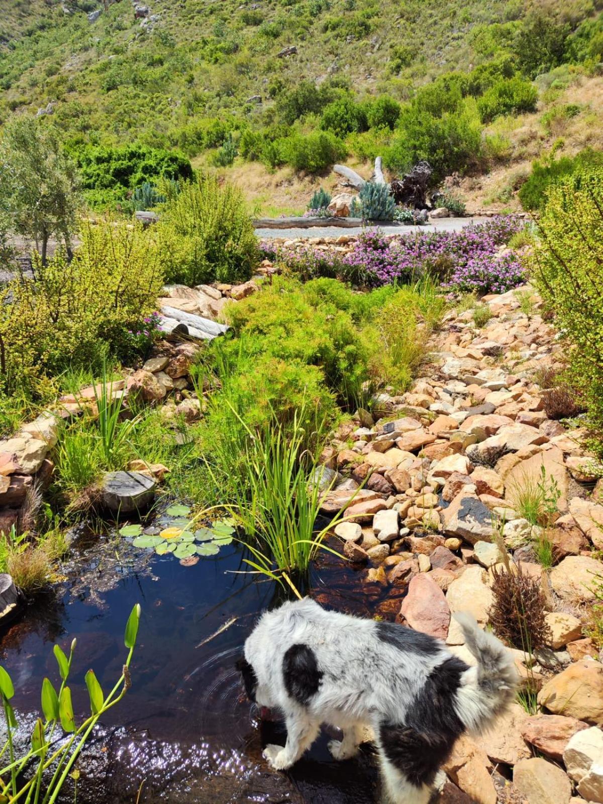 Roodekloof Daire Montagu Dış mekan fotoğraf